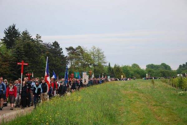 La colonne dans les herbes matutinales