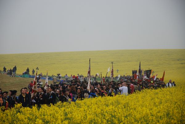 Départ dans le colza