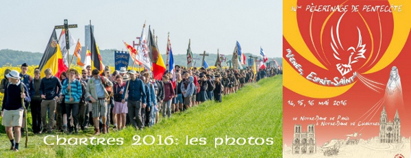 photos2016-txt.jpg
