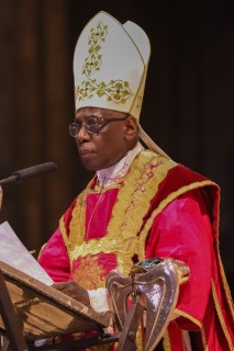 NDC2018-Cardinal-Sarah-5.jpg