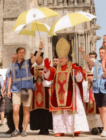 cardinal burke article interview